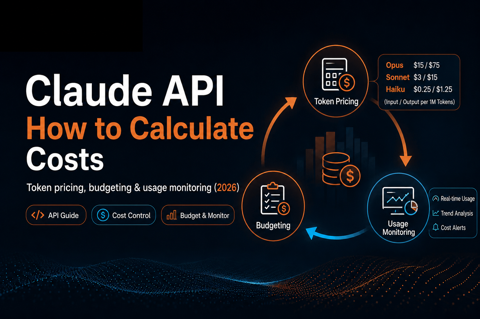 A developer planning Claude API usage, token budgets, and monitoring dashboards